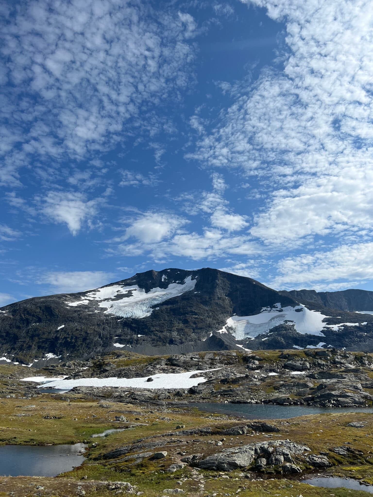 At Primdal, we transform climate accounting into a strategic driver for growth by integrating sustainability into the core of your business. Our tailored approach balances compliance, stakeholder expectations, and long-term goals to drive meaningful transformation. Through clear purpose, leadership commitment, and data excellence, we turn insights into actionable strategies—mapping emissions, setting science-based targets, and fostering continuous improvement. Discover more about our sustainability transformation approach by following our insights on LinkedIn.